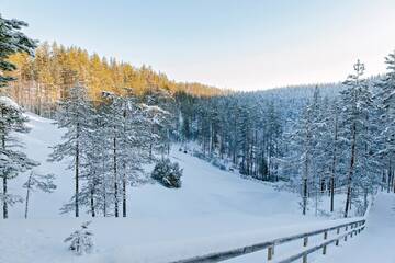 Фото Курортные отели Rokua Health &amp; Spa г. Rokua 4